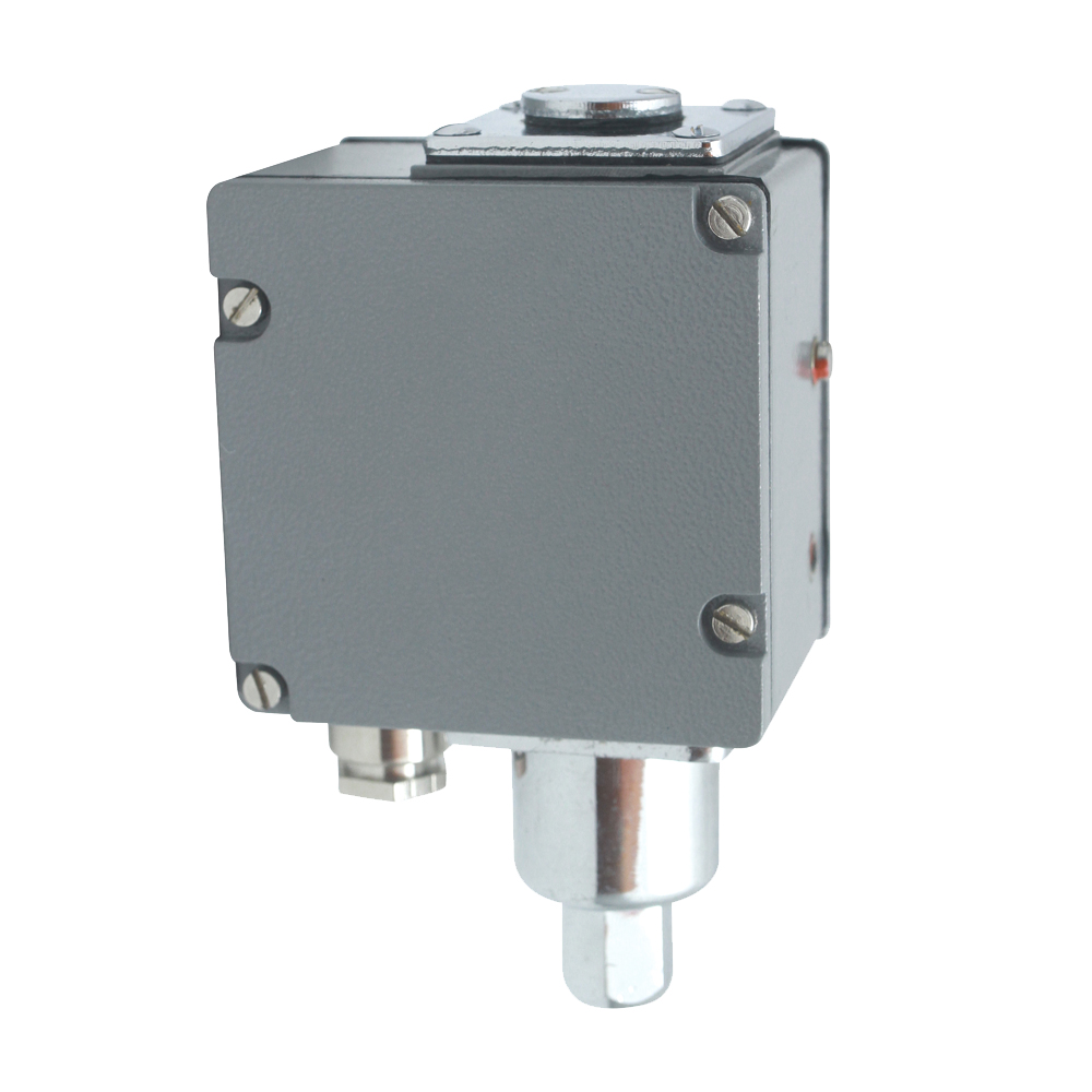 YWK-100型壓力開關 YWK-100型壓力開關